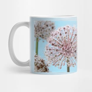 Allium karataviense   AGM  Kara Tau garlic Mug